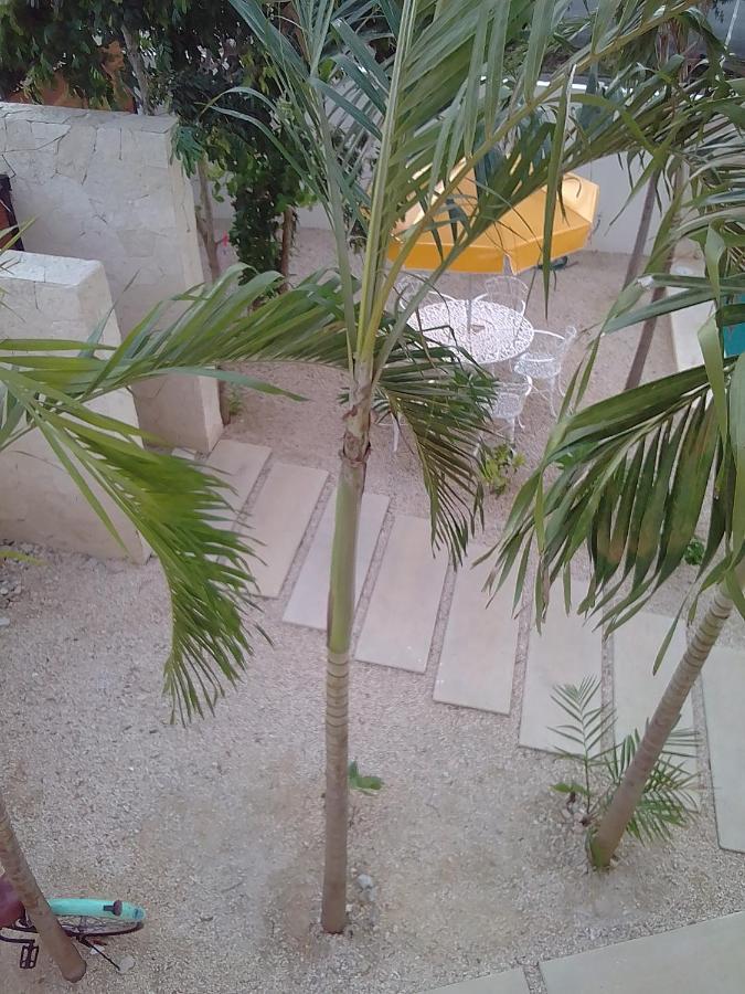 Posada Tumben Ka'A Tulum Exterior foto